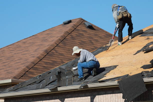 Best Skylight Installation and Repair  in Olyphant, PA