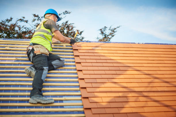Best Metal Roofing Installation  in Olyphant, PA